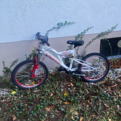 Orbis tiger mtb - orbis,
